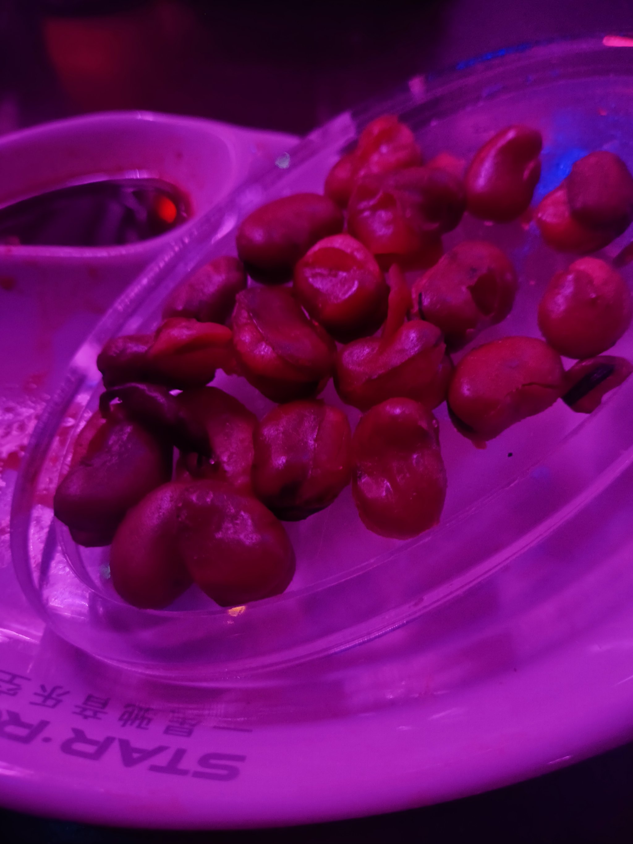 本溪商务ktv哪里好玩推荐选择-溪湖区ktv预订